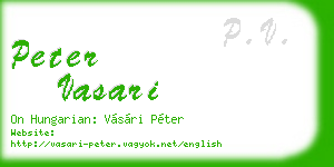peter vasari business card
